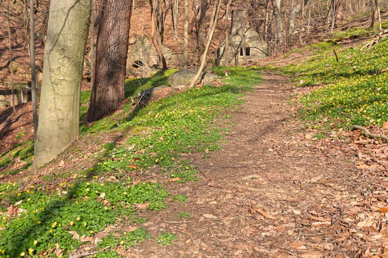 Free stock image of Rustic Spring Trail - HDR created by Nicolas Raymond