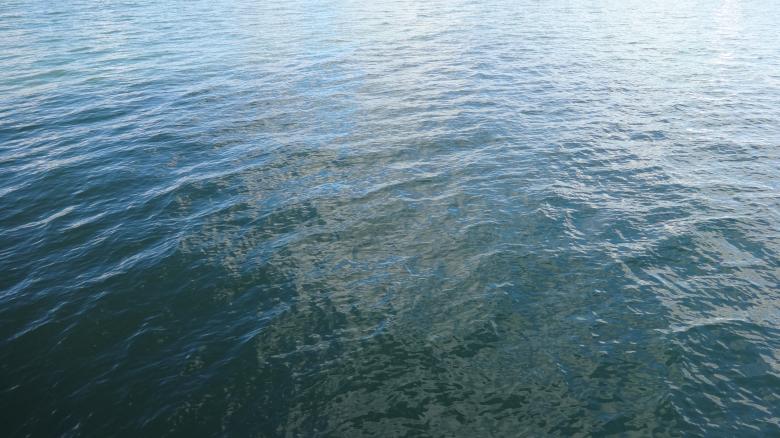 Free stock image of Ocean Southampton created by Wady Galfskiy