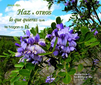 Haz a Otros - Free Stock Photo