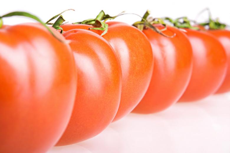 Free stock image of Row of Tomatoes created by 2happy