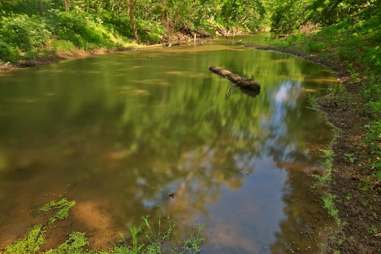 Free stock image of Chisel Branch Creek - HDR created by Nicolas Raymond