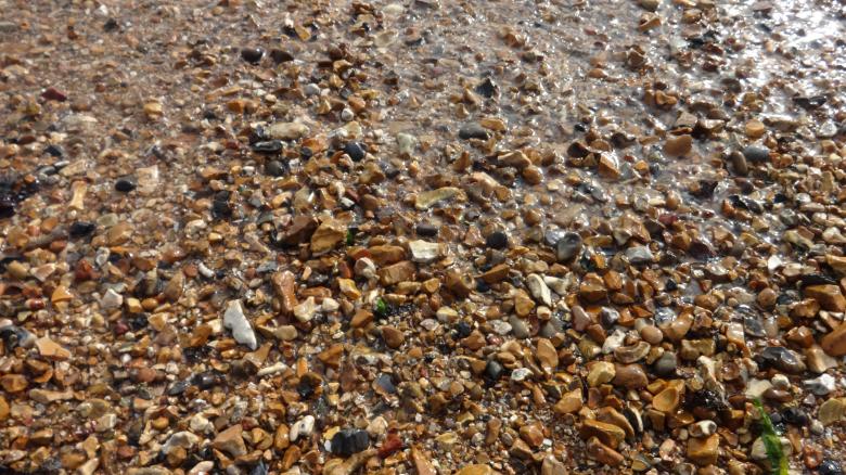 Free stock image of Pebbles at sea shore created by Wady Galfskiy