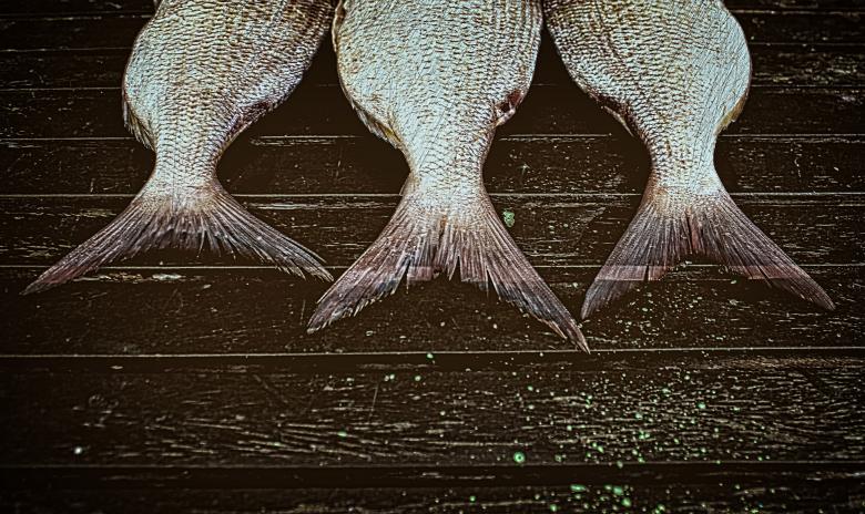 Free stock image of Fish ready to smoke on wood background created by Jack Moreh