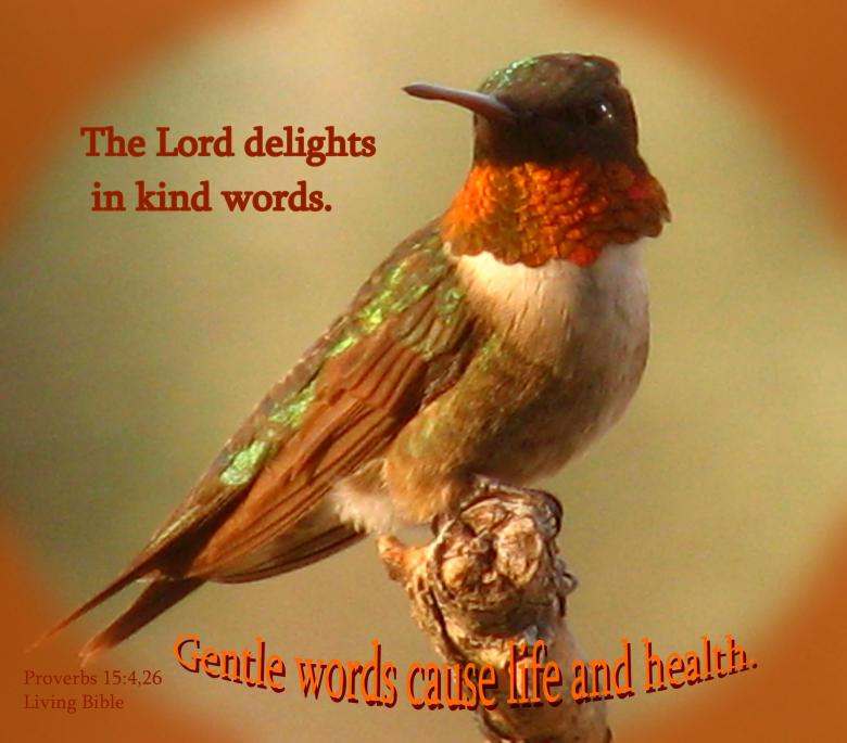 Free stock image of Kind Words created by DFNatureAwed