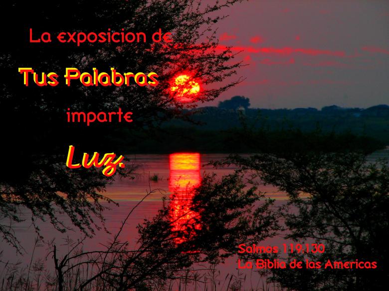 Free stock image of Las Palabras de Dios dan Luz created by DFNatureAwed
