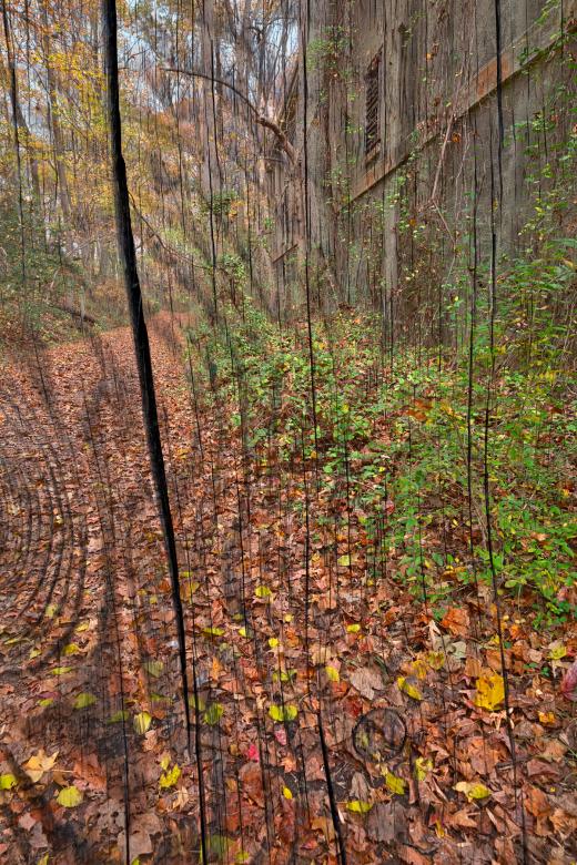 Free stock image of Cracked Wood Autumn Trail created by Nicolas Raymond
