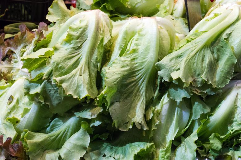 Free stock image of Lettuce created by Geoffrey Whiteway