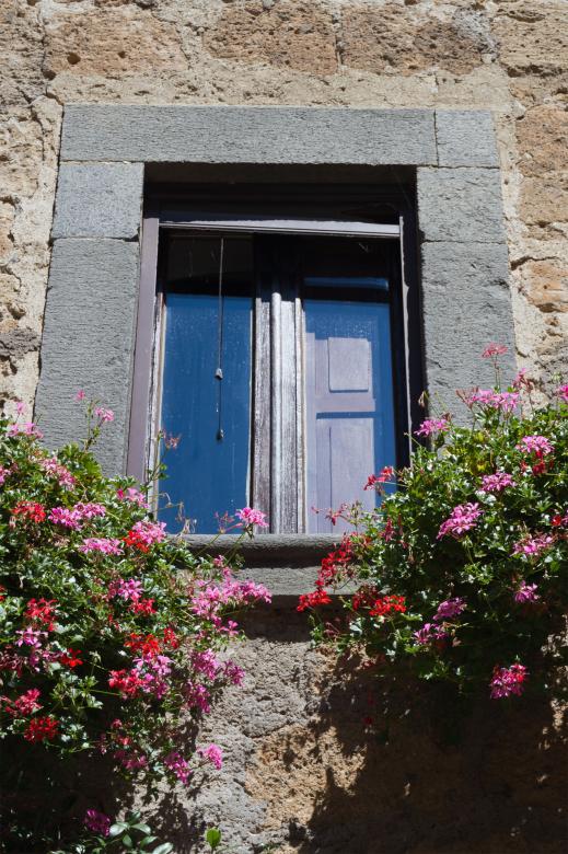Free stock image of Flowers and Window created by Geoffrey Whiteway