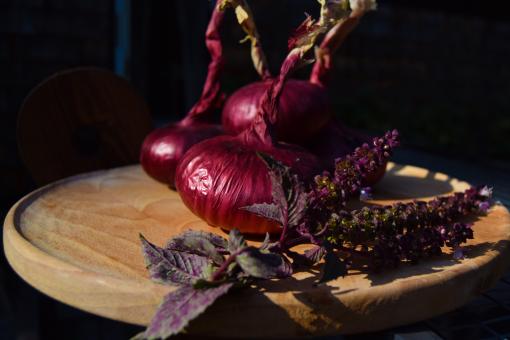 Red onion - Free Stock Photo
