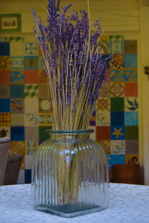 Free stock image of Lavender in a glass vase created by Olga Gladkikh