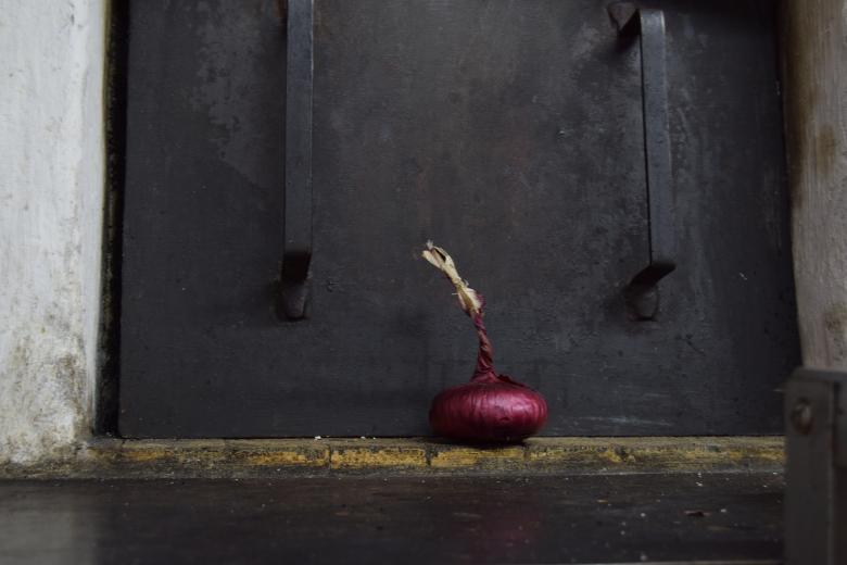 Free stock image of Red onion created by Olga Gladkikh