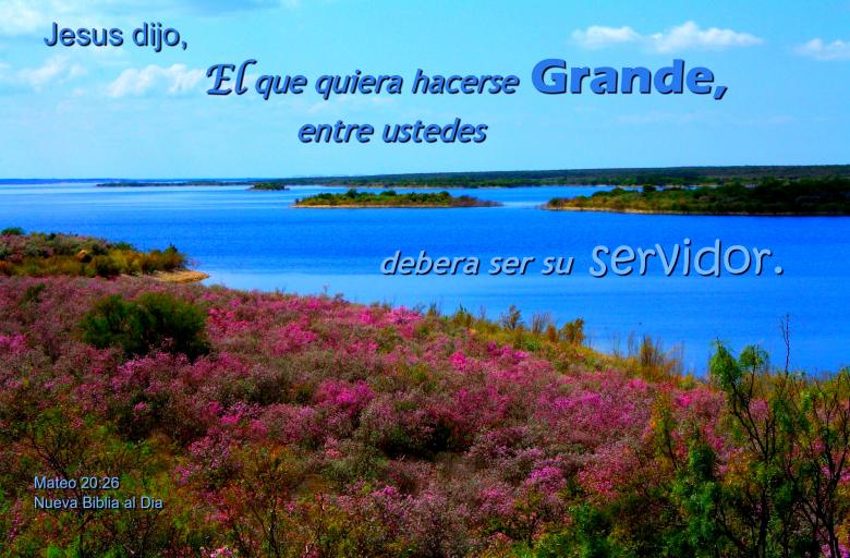 Free stock image of El Servidor es el Mas Grande created by DFNatureAwed