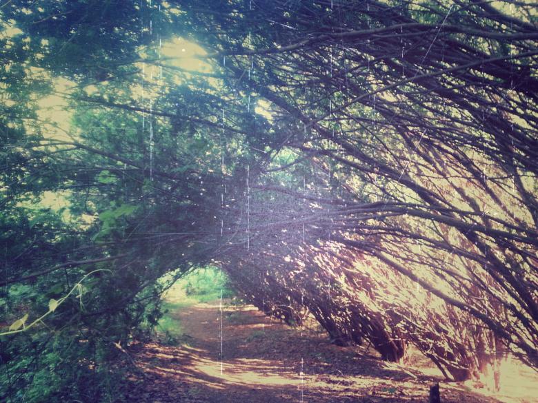 Free stock image of Old Picture created by Hayli M. Skinner