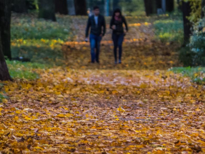 Free stock image of Romantic walk created by Janis Urtans