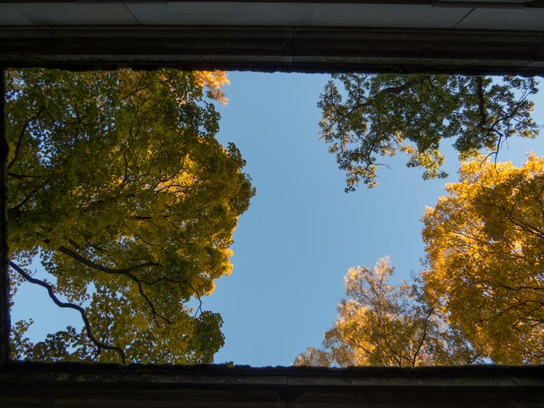Free stock image of Fall incoming created by Janis Urtans