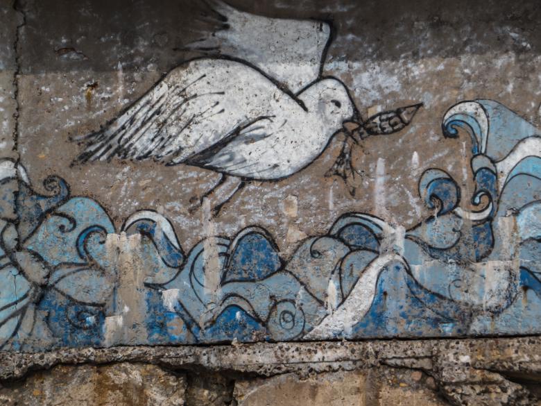 Free stock image of Seagull caught on wall created by Janis Urtans