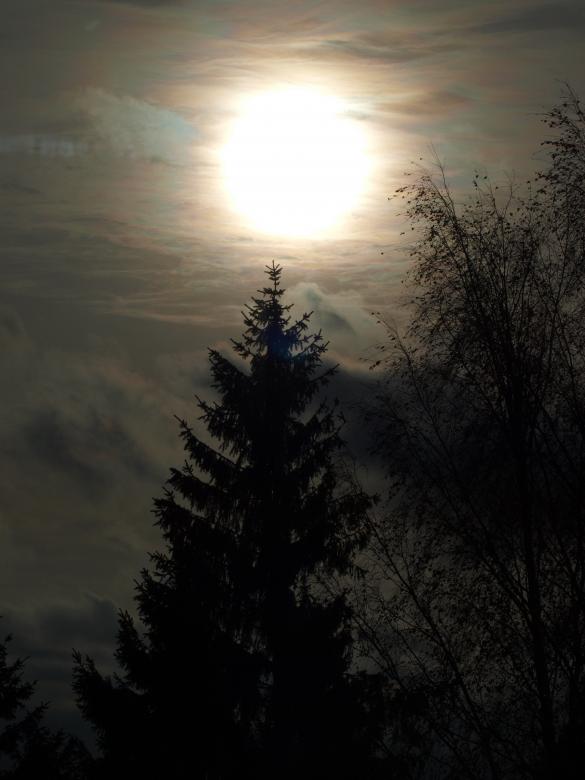 Free stock image of Sunset created by Marko Mäkinen