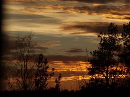 Free Stock Photo of Sunset