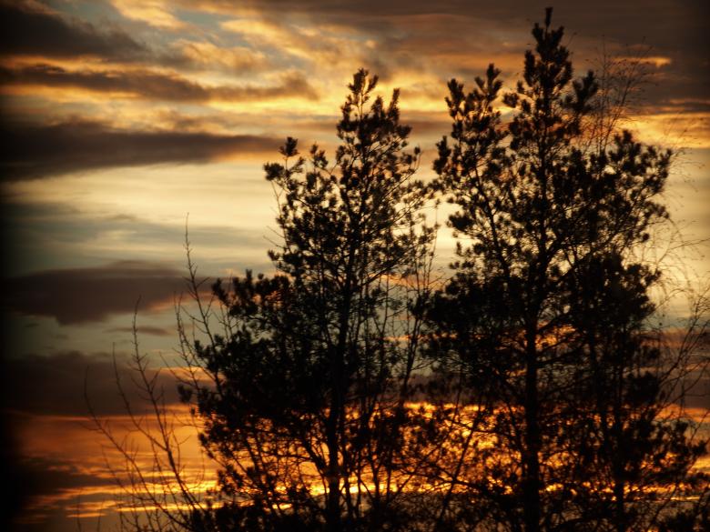 Free stock image of Sunset created by Marko Mäkinen