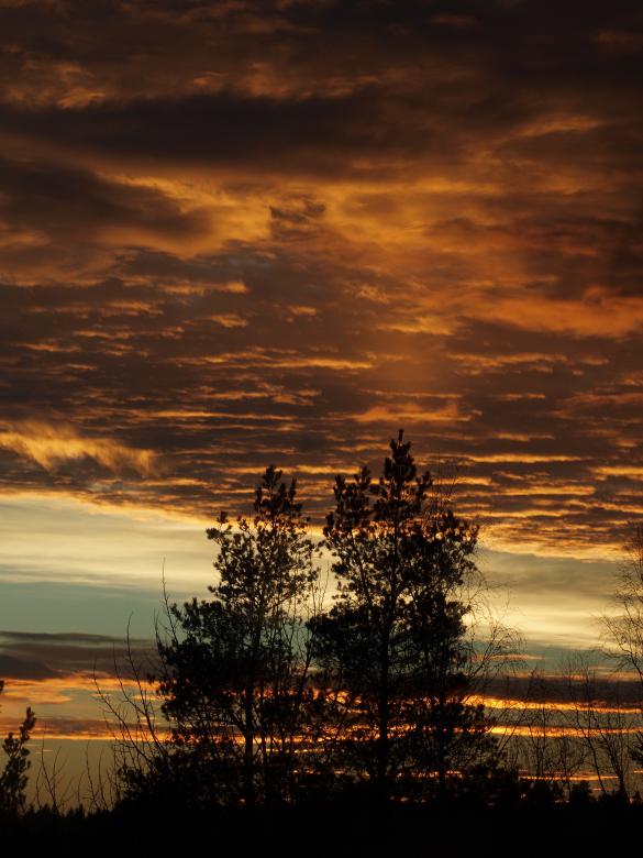 Free stock image of Sunset created by Marko Mäkinen