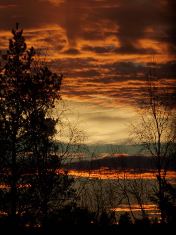 Free stock image of Sunset created by Marko Mäkinen