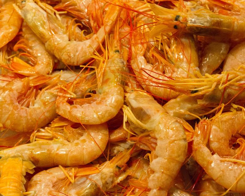 Free stock image of Shrimp at fishmarket created by Geoffrey Whiteway