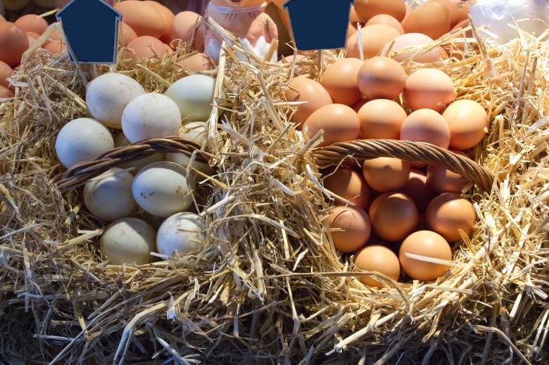 Free stock image of Eggs at the Market created by Geoffrey Whiteway