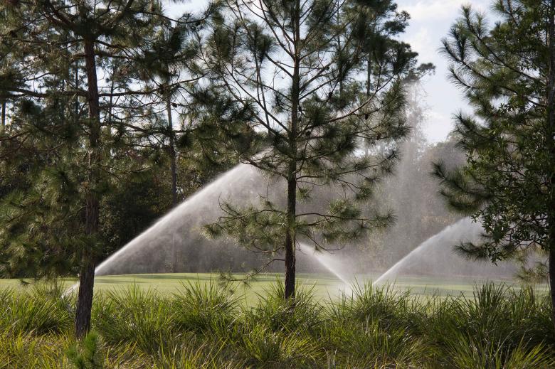 Free stock image of Sprinklers on a lawn with trees created by Geoffrey Whiteway