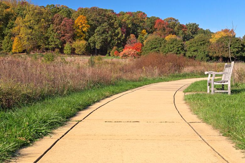 Free stock image of Winding Autumn Arboretum Path - HDR created by Nicolas Raymond
