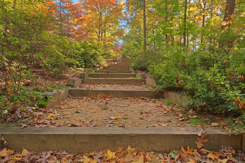 Free stock image of Autumn Arboretum Stairway - HDR created by Nicolas Raymond