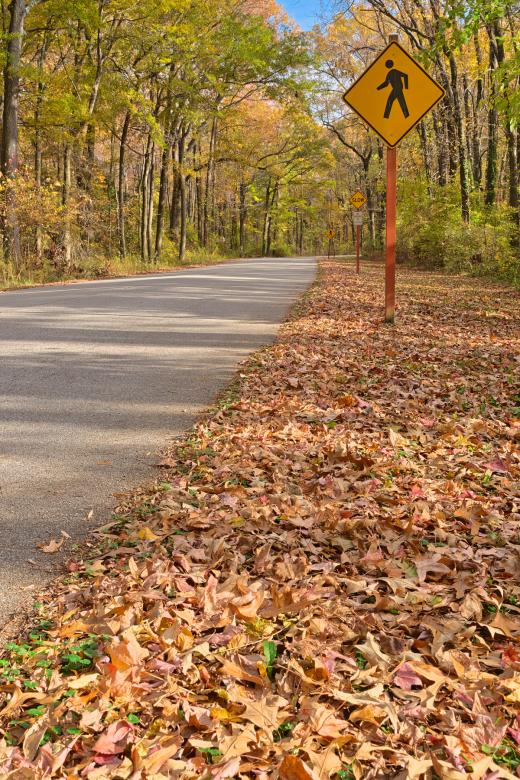 Free stock image of Winding Autumn Road - HDR created by Nicolas Raymond