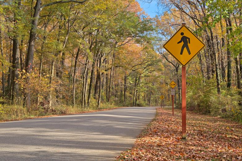 Free stock image of Winding Autumn Road - HDR created by Nicolas Raymond