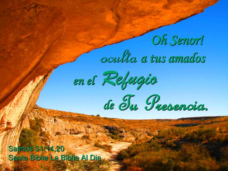 Free stock image of Refugio de Tu Presencia created by DFNatureAwed