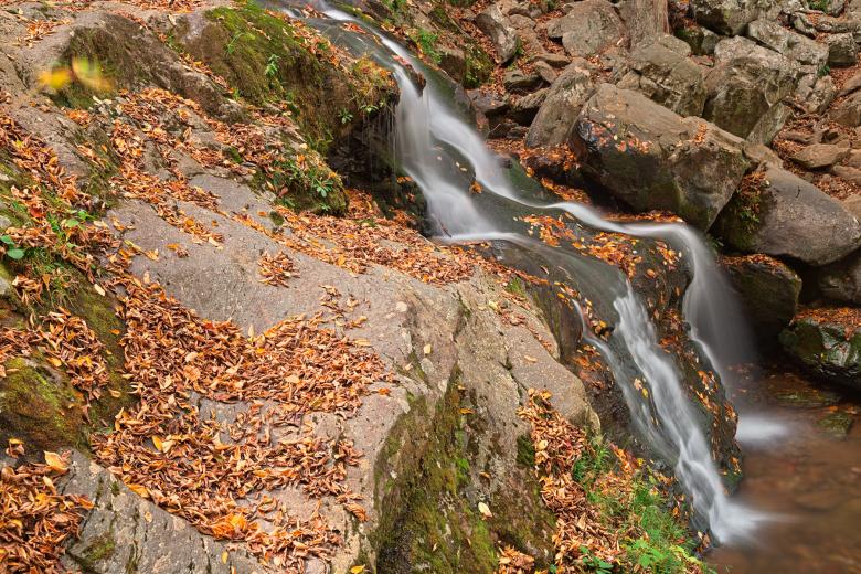 Free stock image of Dark Hollow Falls - HDR created by Nicolas Raymond