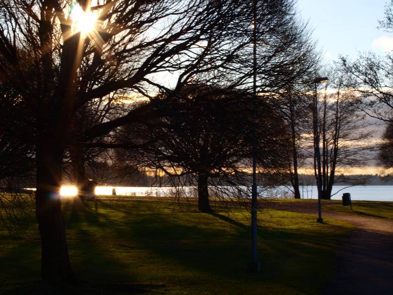 Free stock image of Park created by Marko Mäkinen