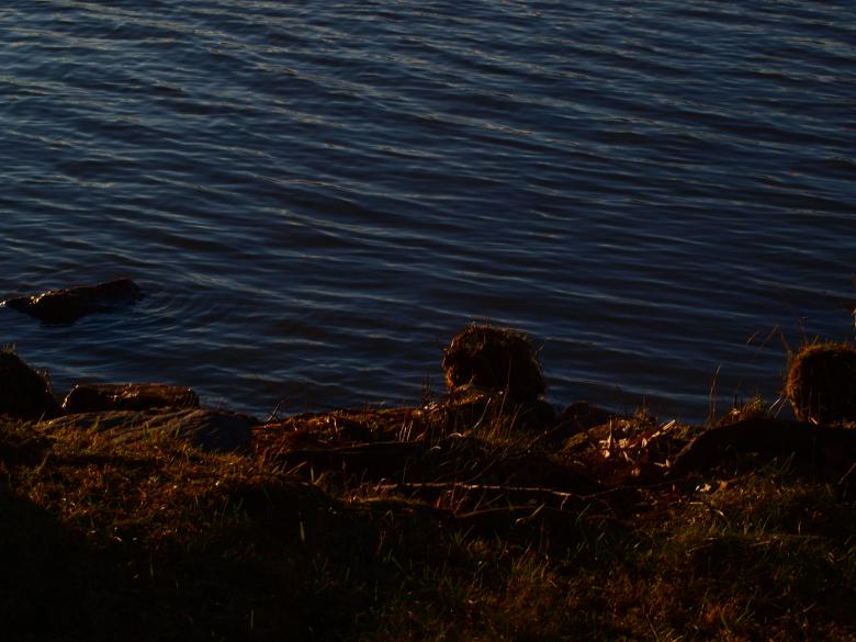Free stock image of Park created by Marko Mäkinen