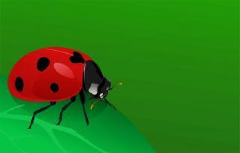 Free stock image of Lady bug created by Ronny Overhate