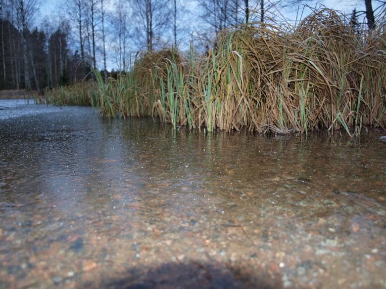 Free stock image of Frozen pond created by Marko Mäkinen