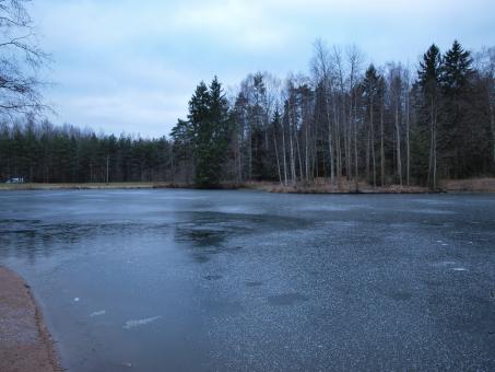 Free Stock Photo of Frozen pond