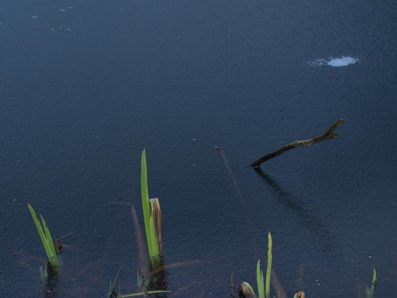 Free stock image of Frozen pond created by Marko Mäkinen