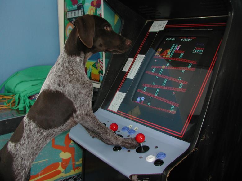 Free stock image of Paris playing Pinball created by Sue Osborn