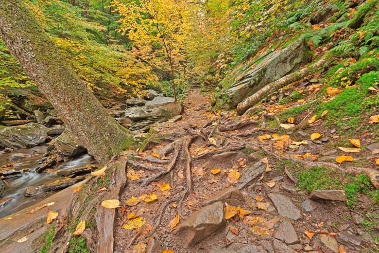 Free stock image of Moses Glen Trail - HDR created by Nicolas Raymond