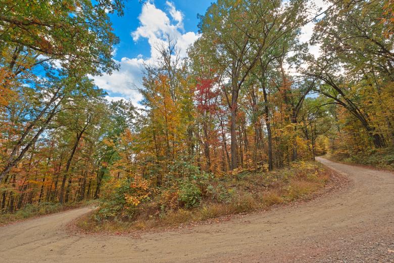 Free stock image of Winding Autumn Forest Road  - HDR created by Nicolas Raymond