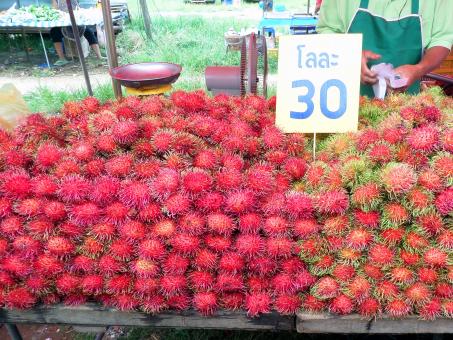 Free Stock Photo of Rambutan fruit