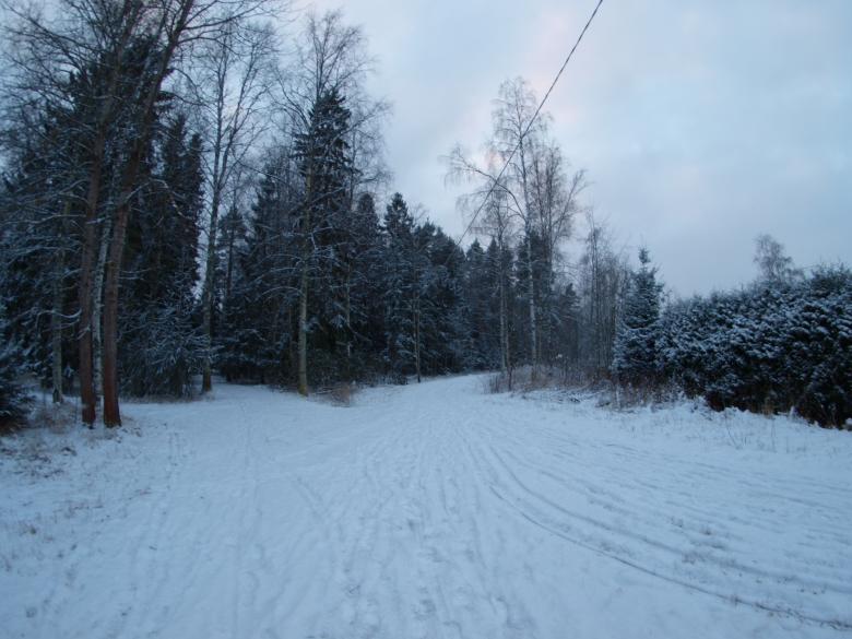 Free stock image of Snowy day created by Marko Mäkinen