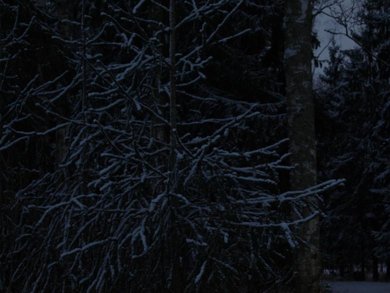 Free stock image of Snowy day created by Marko Mäkinen