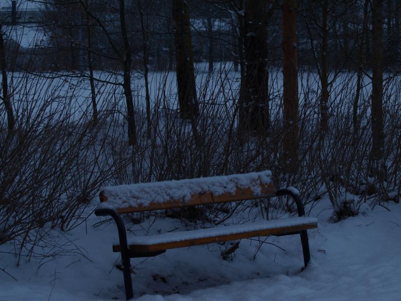 Free stock image of First snow created by Marko Mäkinen