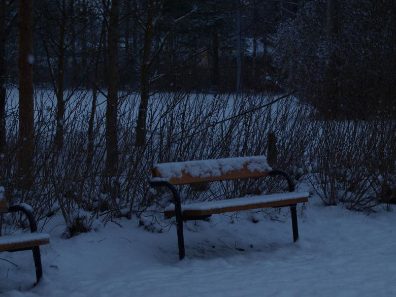 Free stock image of First snow created by Marko Mäkinen