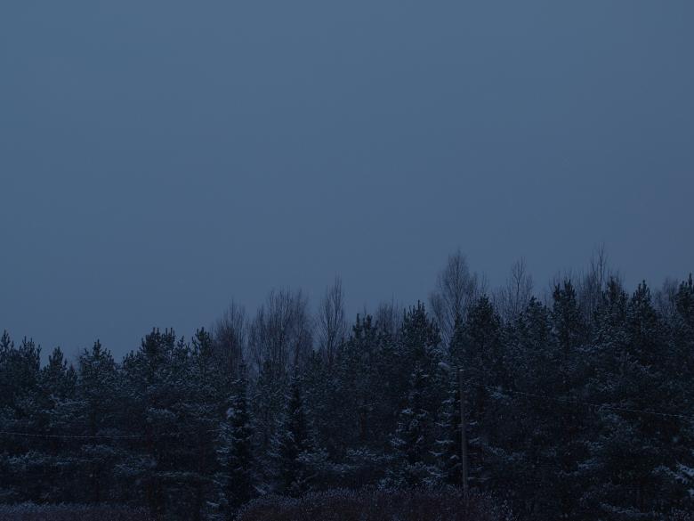 Free stock image of First snow created by Marko Mäkinen