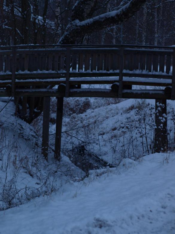 Free stock image of First snow created by Marko Mäkinen
